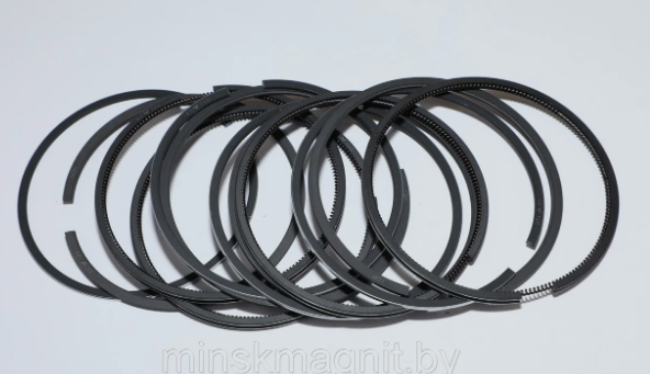 Кольца порш. дв.4216 4216-1004023 d100.0мм  "ГАЗ"
