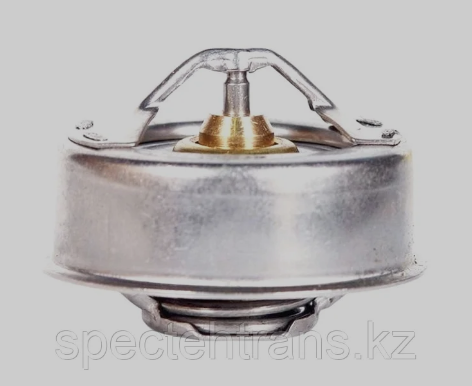 Термостат ЗиЛ  ТС108.1306100-04  70*С "Прамо"