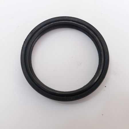 60-72 сальник "Чайковский"