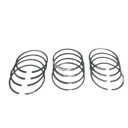 Кольца порш. дв.4216 ЕВРО-4 узкие 4216-40-1004023 d100.0мм  "ГАЗ"