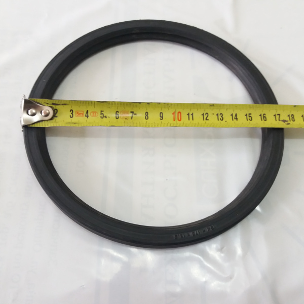 154-175 сальник "Чайковский"