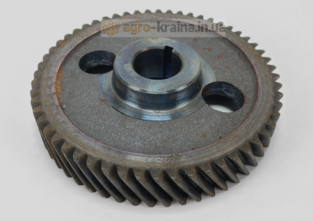 Шестерня р/вала ЮМЗ Д04-005