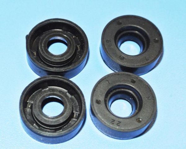 10-22 сальник "Чайковский"