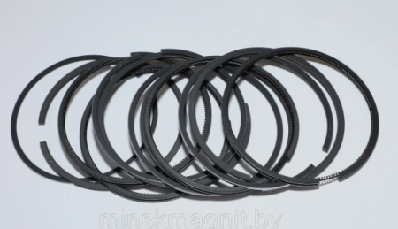 Кольца порш. дв.4216 4216-1004023 d100.0мм  "ГАЗ"