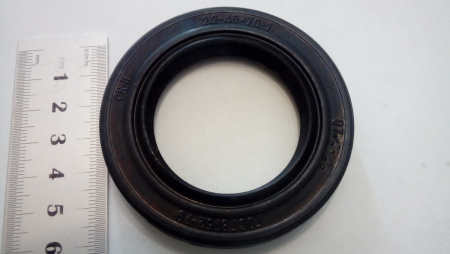 45-70 сальник"Чайковский"