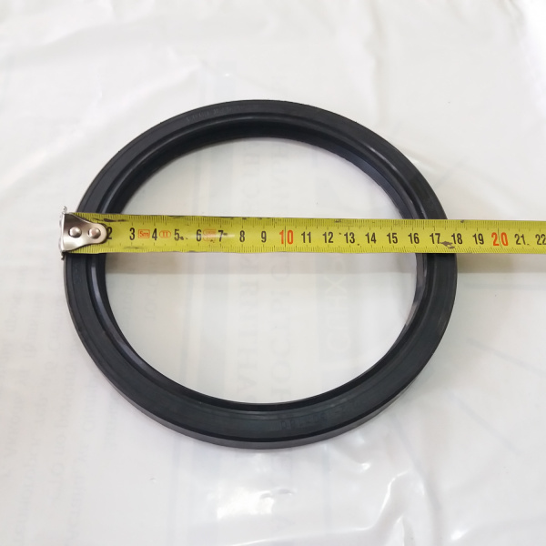 150-180 сальник "Чайковский"