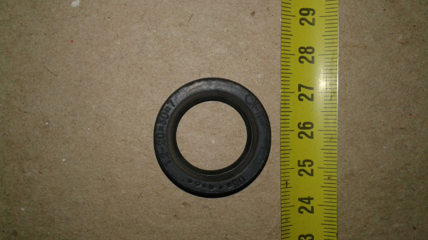 20-30 сальник "Чайковский"