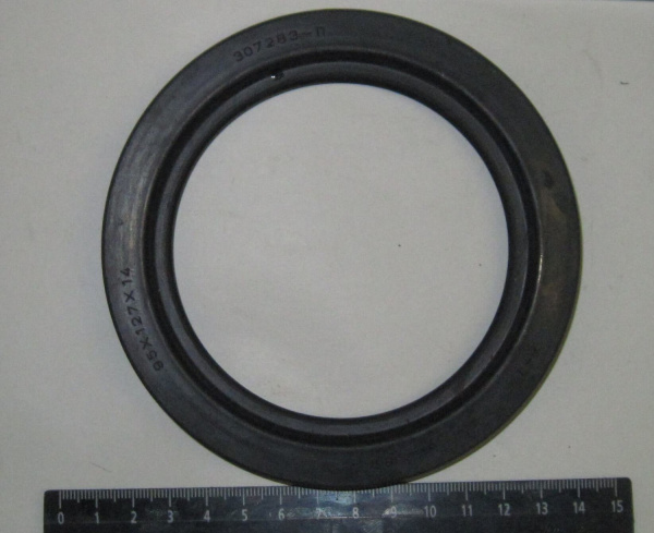 95-127 сальник "Чайковский"